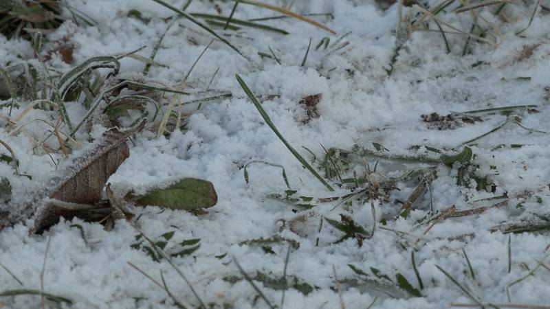 NIEBEZPIECZNIE NISKIE TEMPERATURY